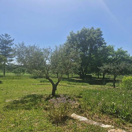 Ferienwohnung La Bastideta, Fayence Exterior foto