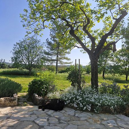 Ferienwohnung La Bastideta, Fayence Exterior foto