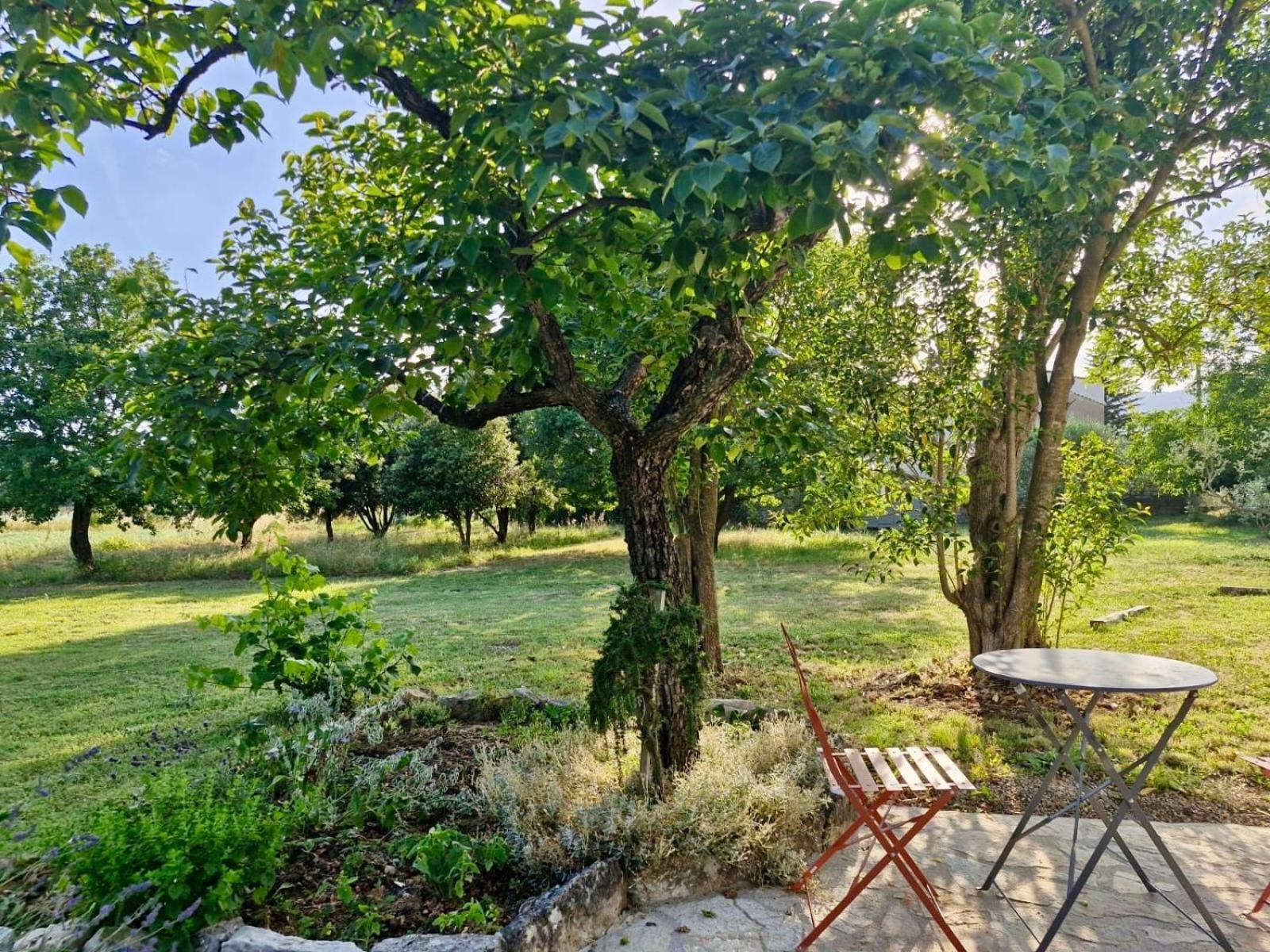 Ferienwohnung La Bastideta, Fayence Exterior foto
