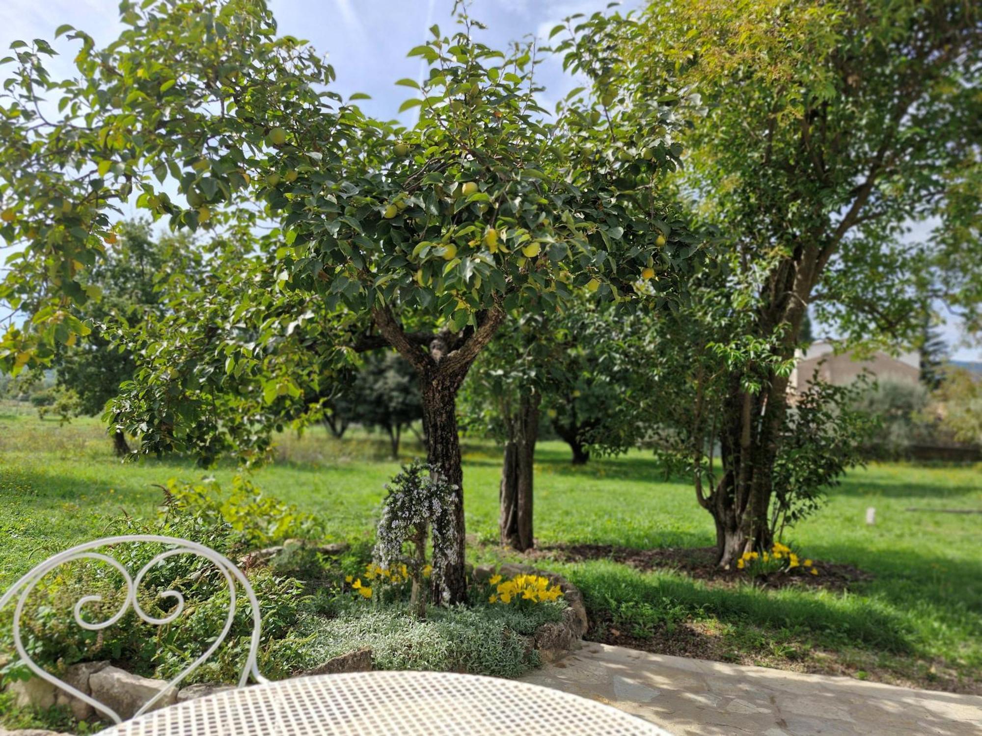 Ferienwohnung La Bastideta, Fayence Exterior foto