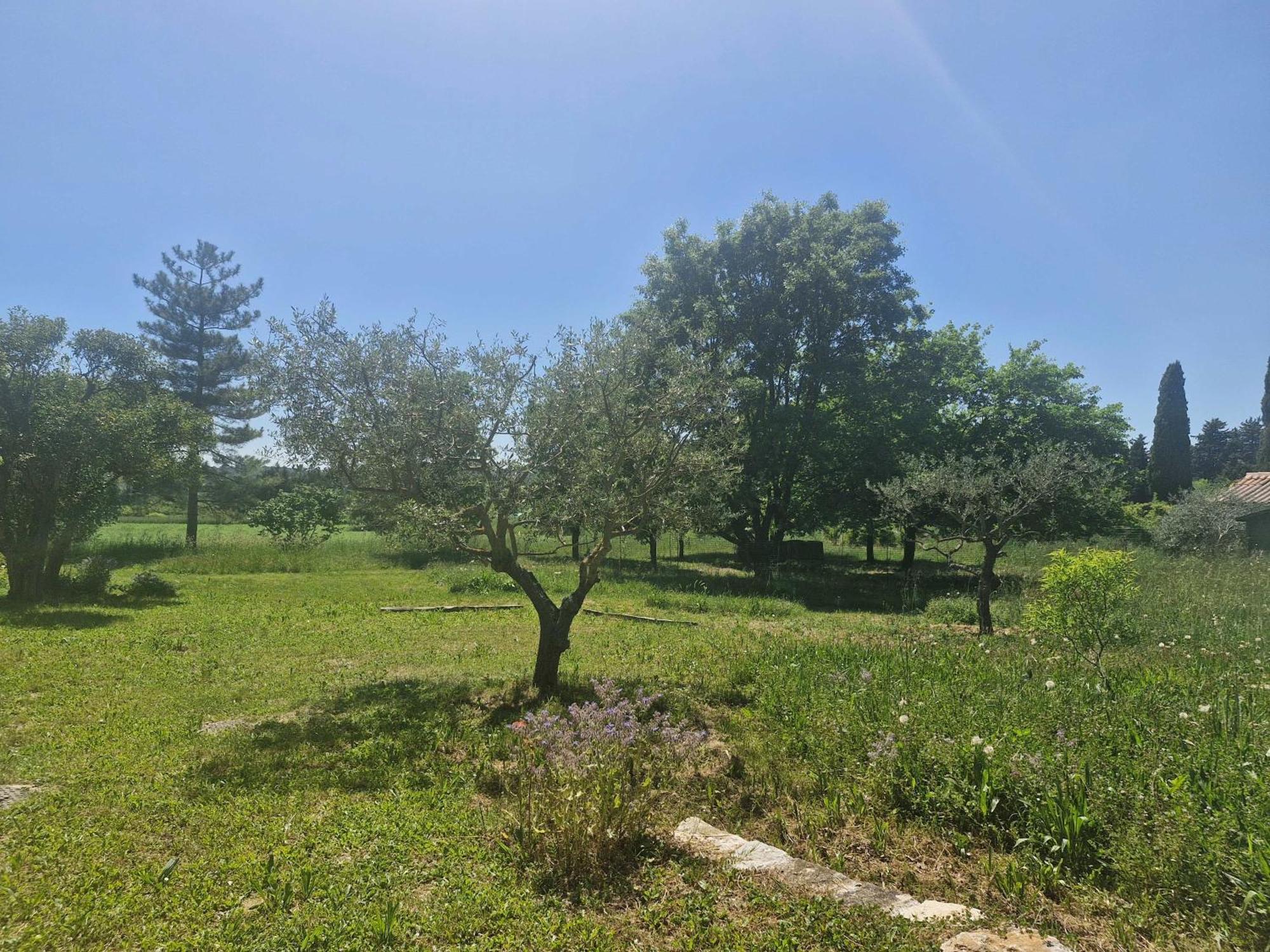Ferienwohnung La Bastideta, Fayence Exterior foto
